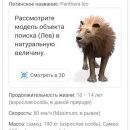Как со смартфона смотреть животных в 3D из Google